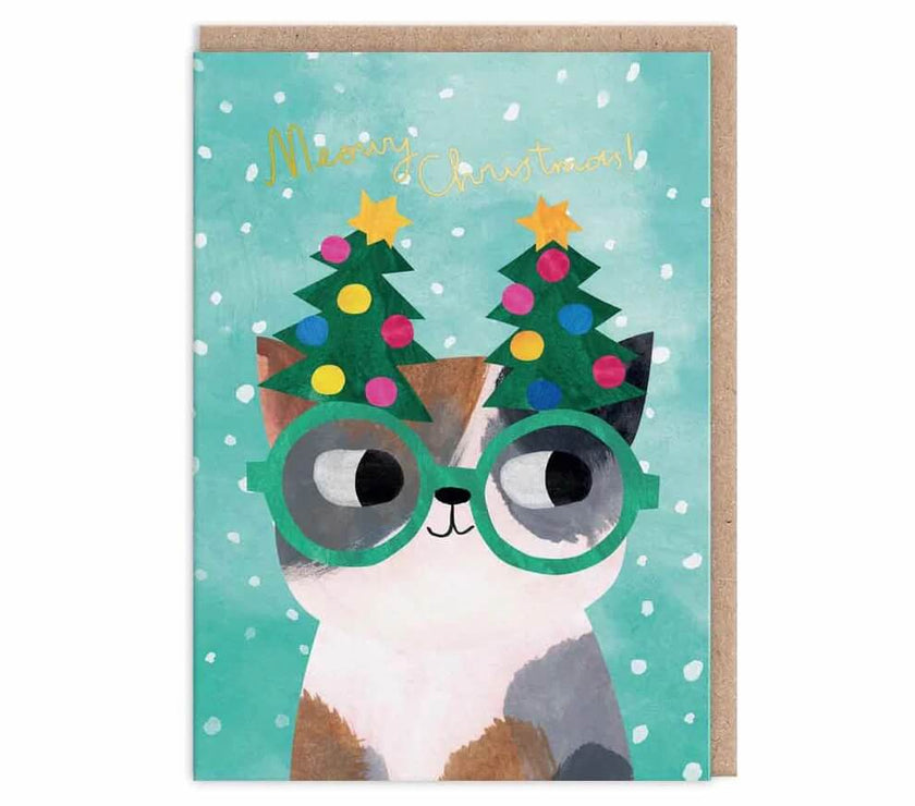 Cat Dress Up Christmas Boxed Cards