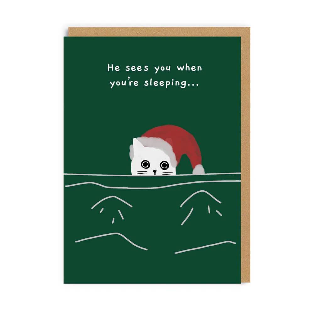 Ken the Cat Christmas Boxed Cards - House of Cards