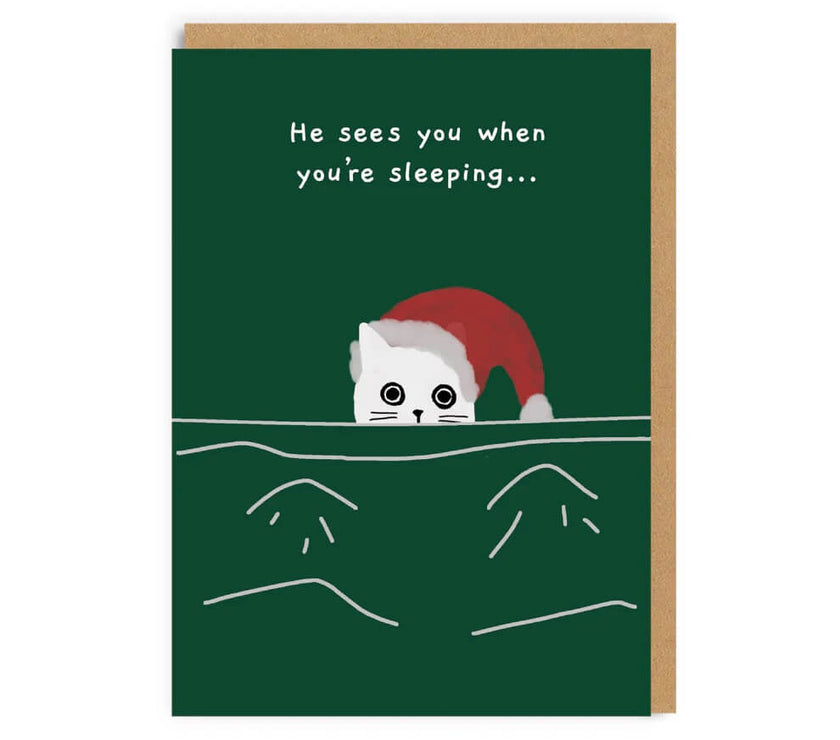 Ken the Cat Christmas Boxed Cards