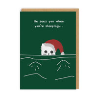 Ken the Cat Christmas Boxed Cards