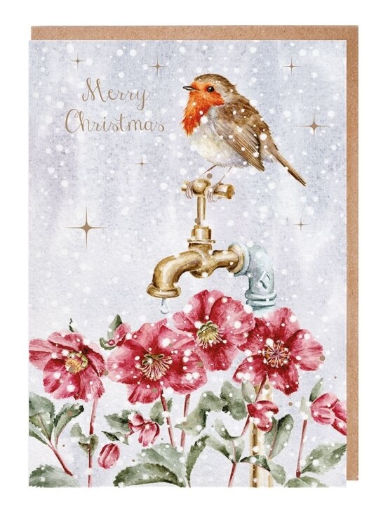 Robin Wallet Christmas Cards
