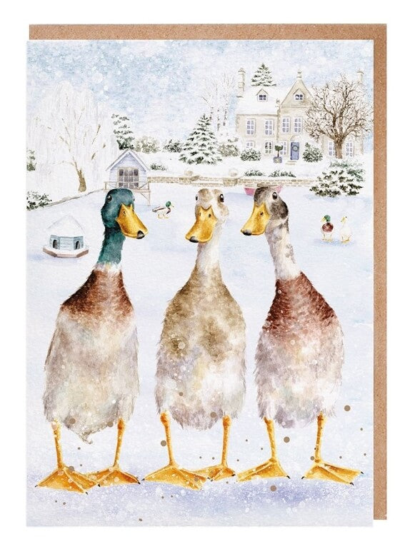 Ducks Wallet Christmas Cards