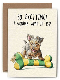 So Exciting Birthday Card