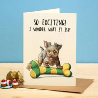 So Exciting Birthday Card