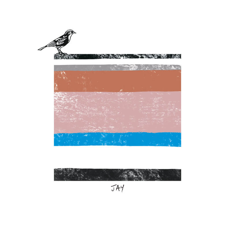 Bird Tone Jay Birthday Card