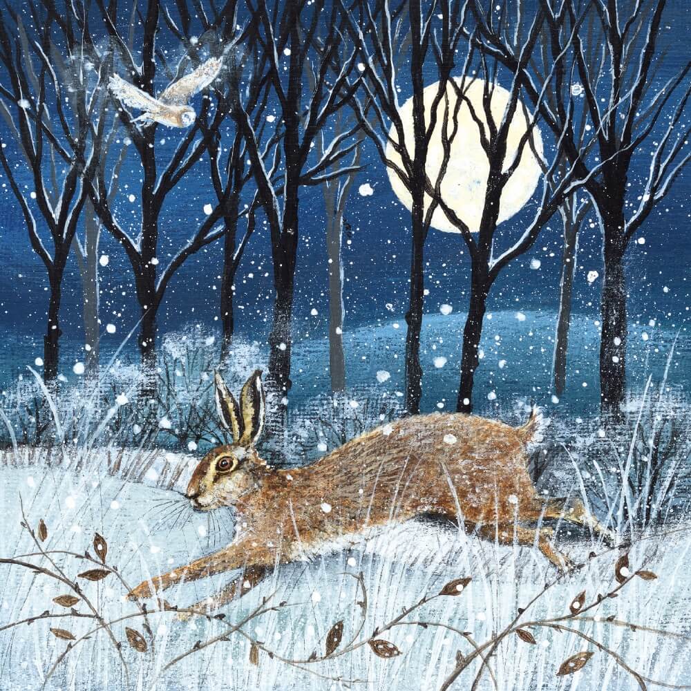 Hare and Owl 8 Christmas Cards