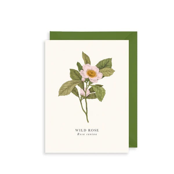 Wild Rose Birthday Card