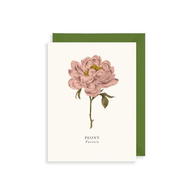 Peony Birthday Card
