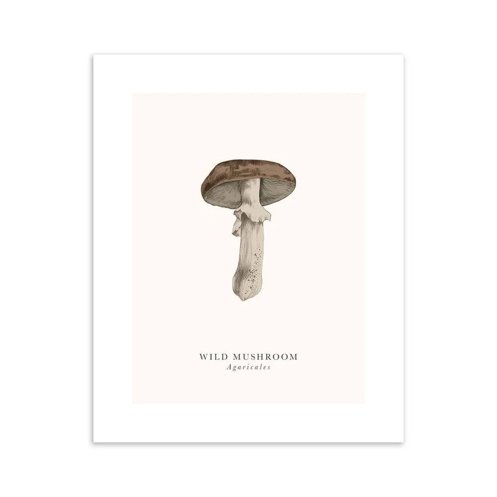 Wild Mushroom Birthday Card