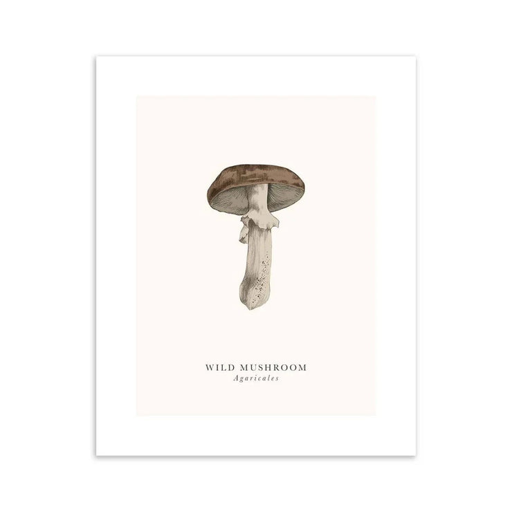 Wild Mushroom Birthday Card