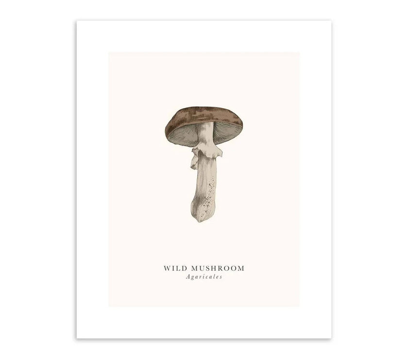 Wild Mushroom Birthday Card
