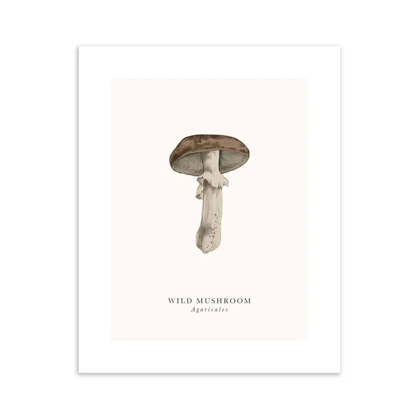 Wild Mushroom Birthday Card