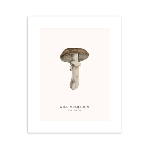 Wild Mushroom Birthday Card