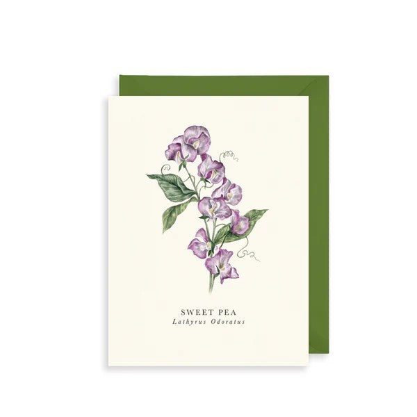 Sweet Pea Birthday Card