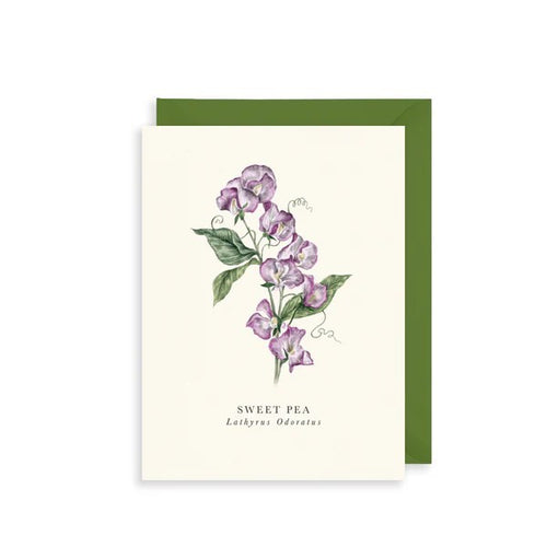 Sweet Pea Birthday Card