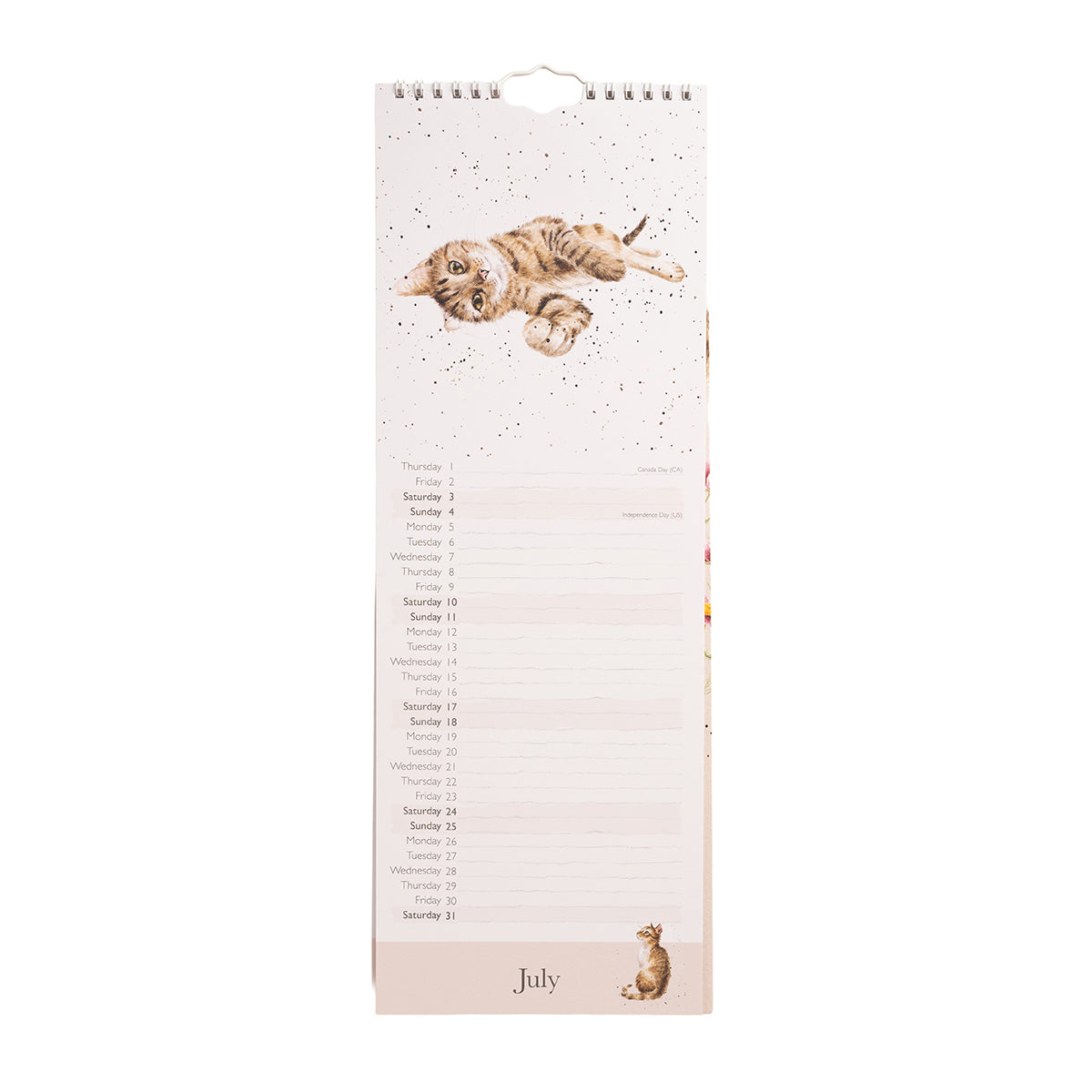 2027 Feline Friends Cat Slim Calendar