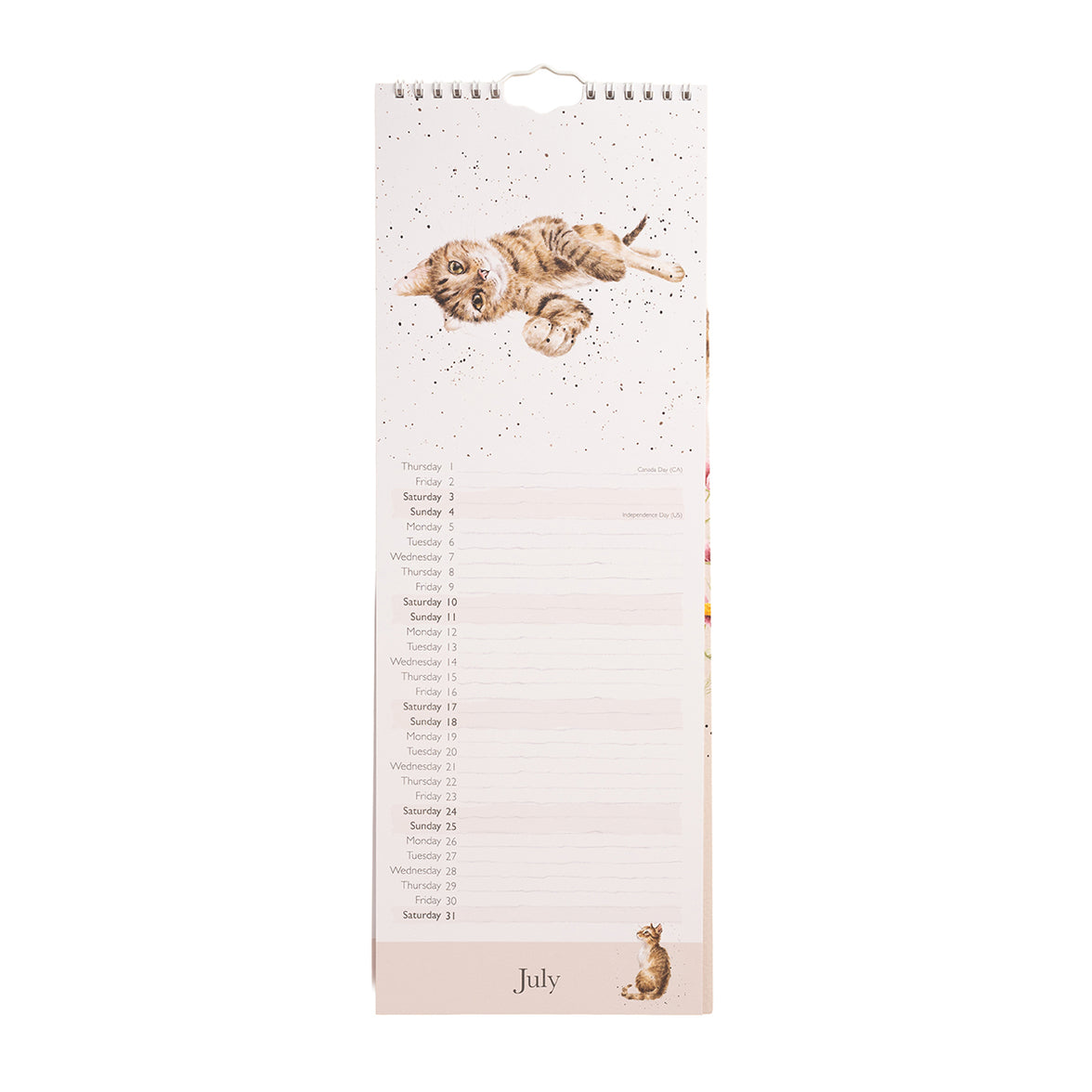 2027 Feline Friends Cat Slim Calendar