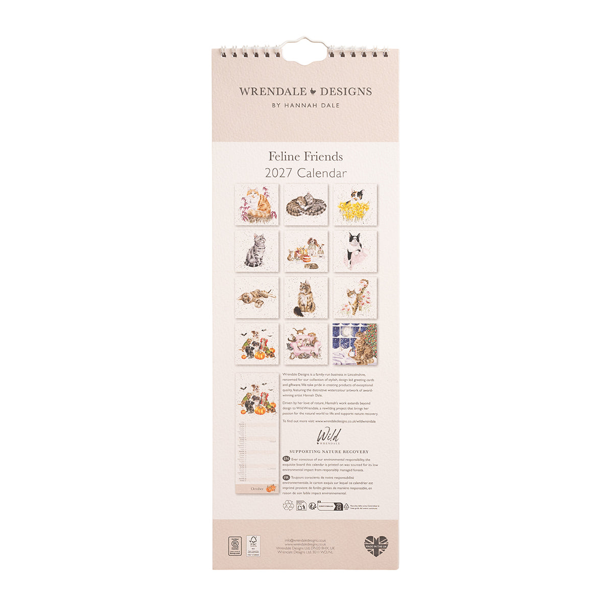 2027 Feline Friends Cat Slim Calendar