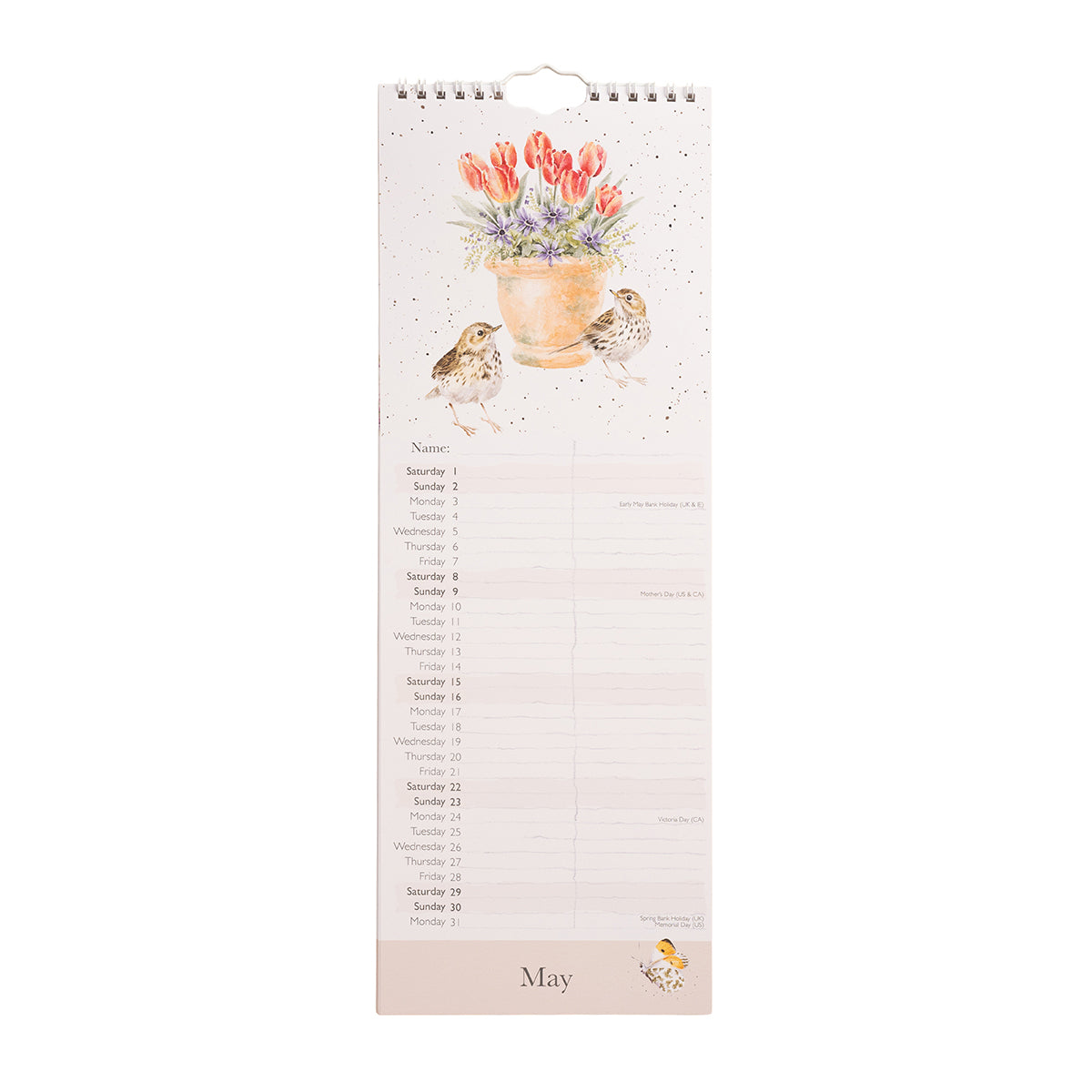 2027 Feathered Friends Birds Slim Calendar