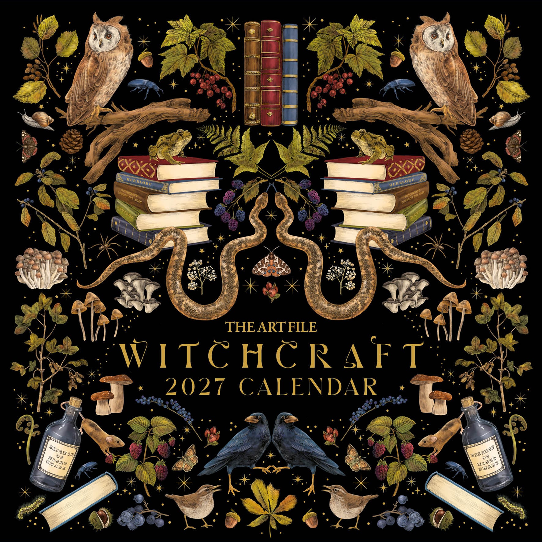 2027 Witchcraft Wall Calendar