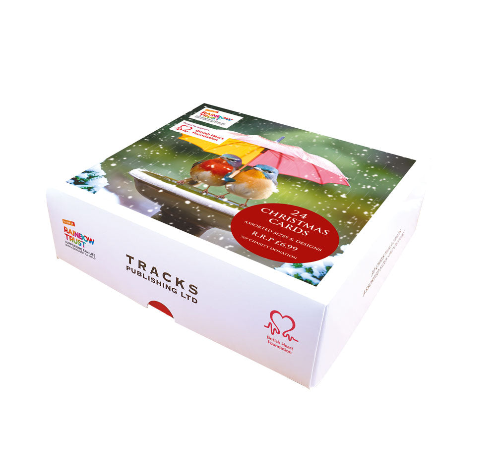 Birds Under Umbrella Charity Christmas Mixed Boxed Cards