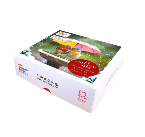 Birds Under Umbrella Charity Christmas Mixed Boxed Cards