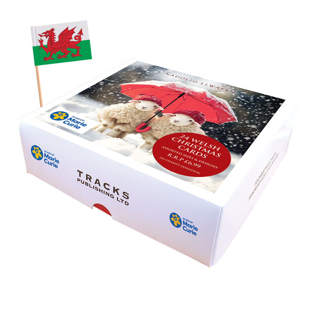 Welsh Charity Christmas Mixed Boxed Cards