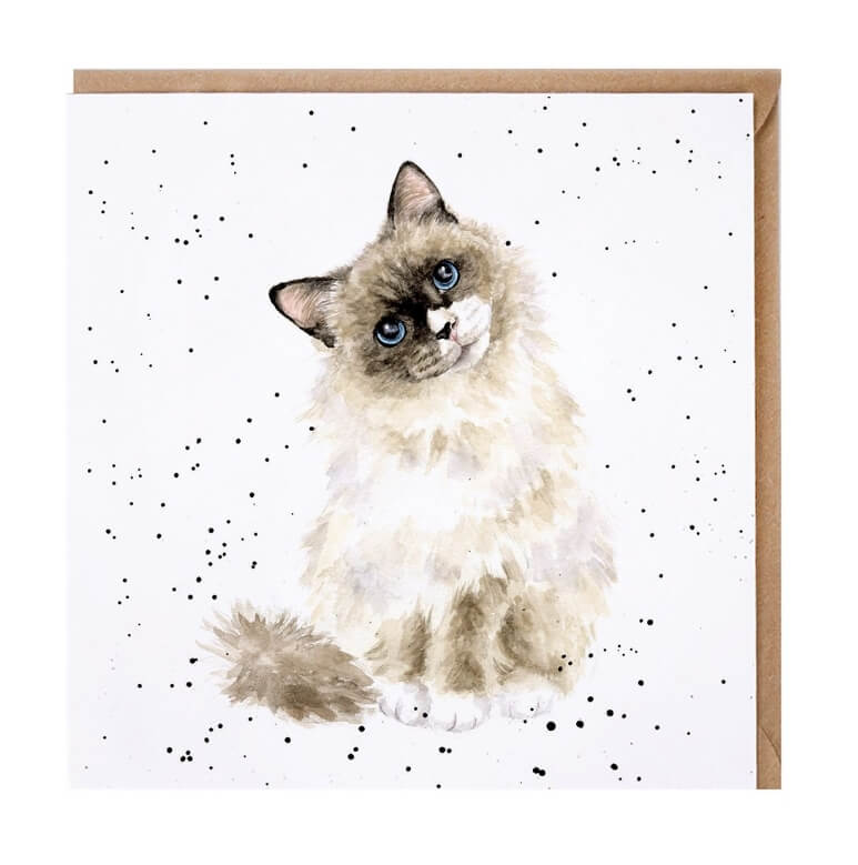 Paws for Thought Greeting Card