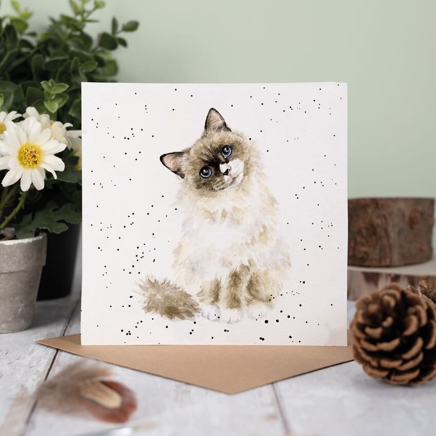 Paws for Thought Greeting Card