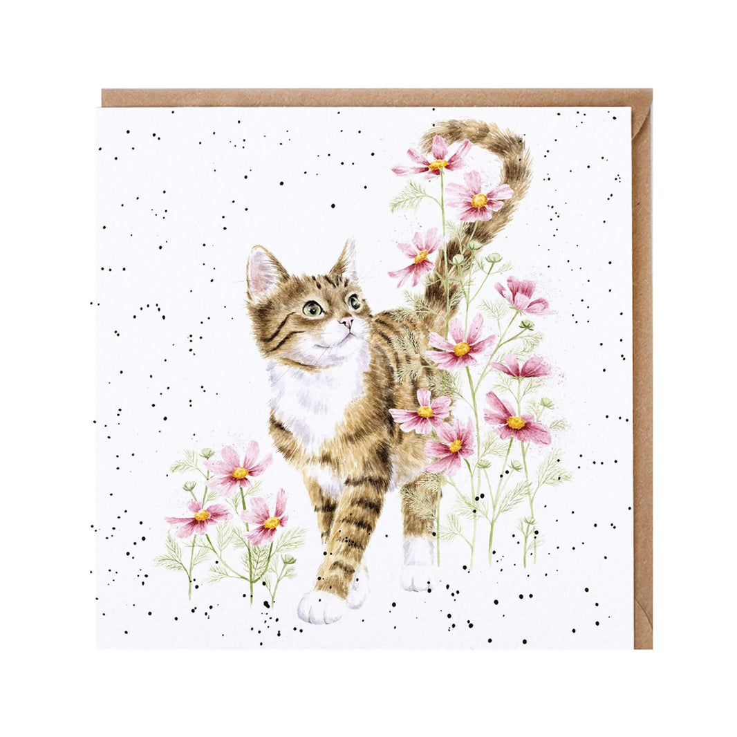 Cat Harmony Birthday Card