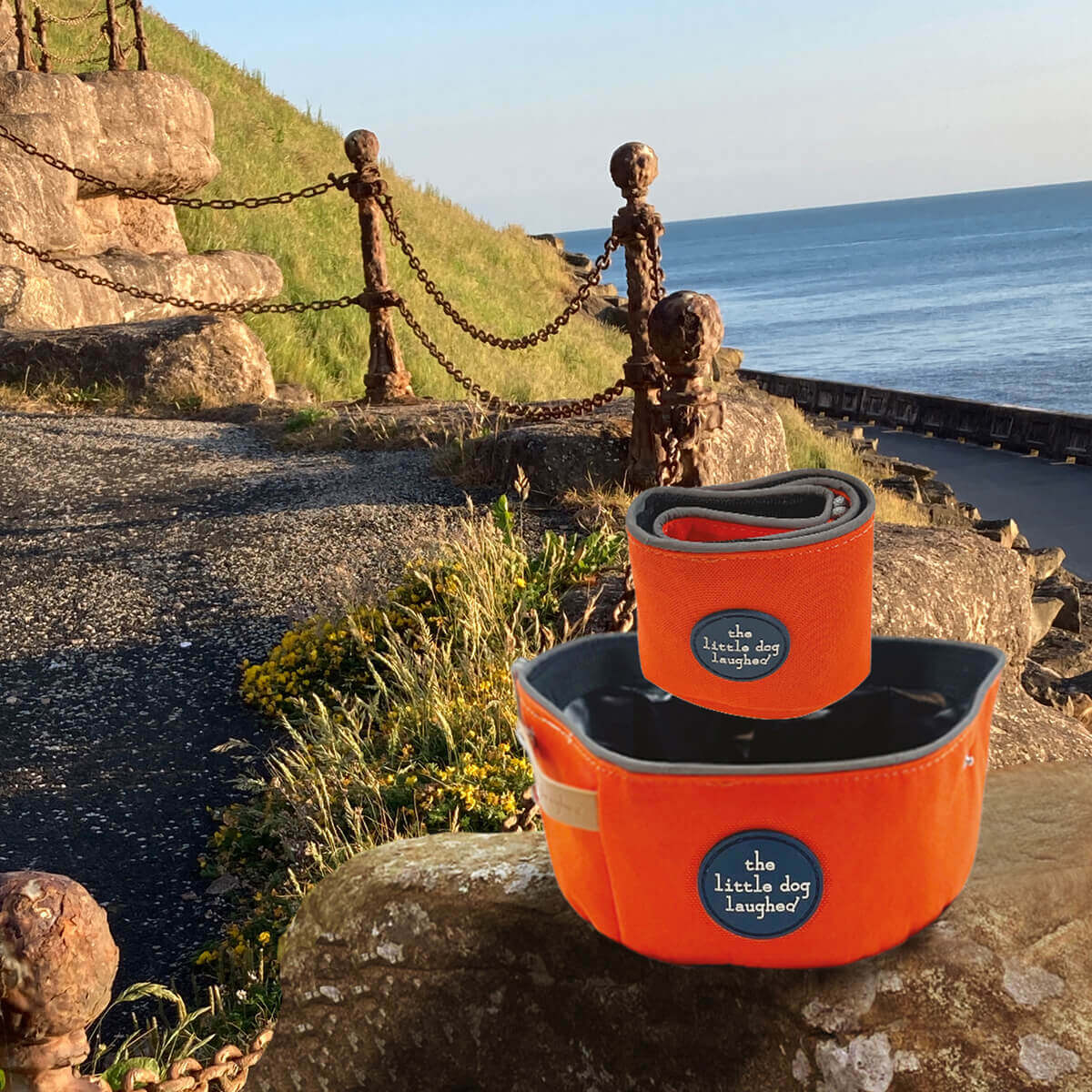 Foldable Travel Dog Bowl Orange - Winner Gift of the Year 2026