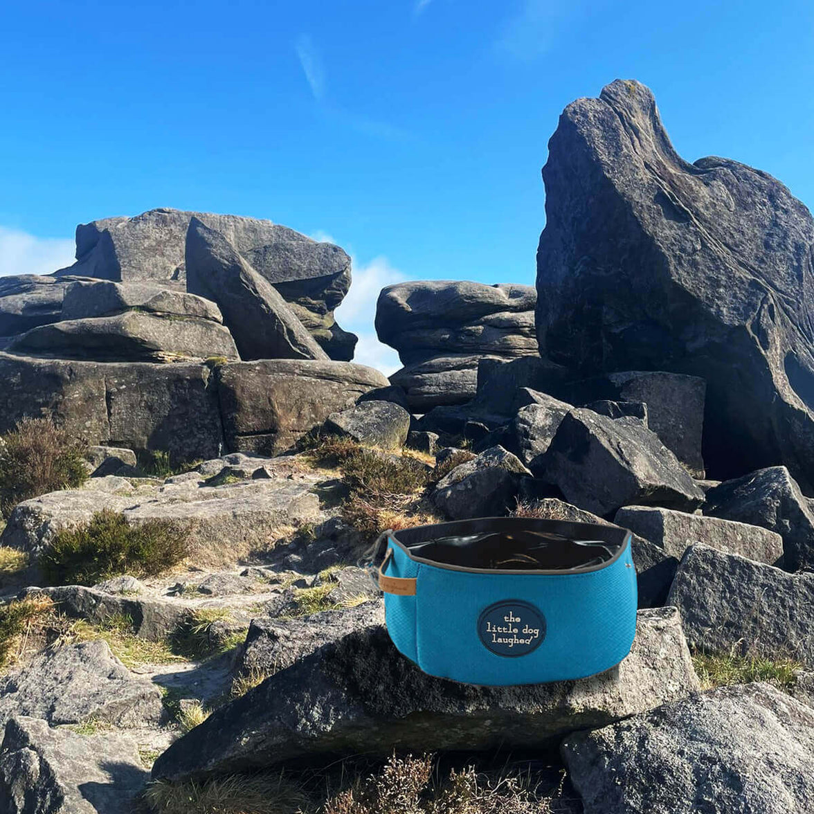 Foldable Travel Dog Bowl Blue - Winner Gift of the Year 2026