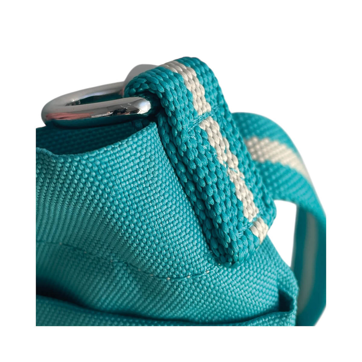 Teal Dog Walking Bag
