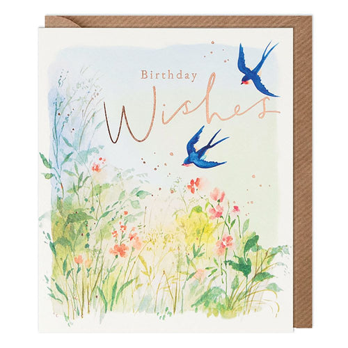 Swallows Birthday Card