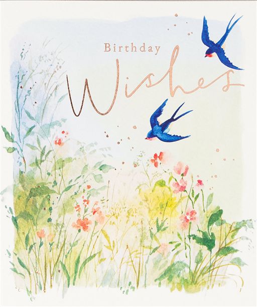Swallows Birthday Card