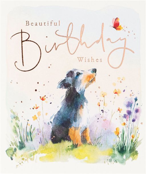Dog Birthday Card