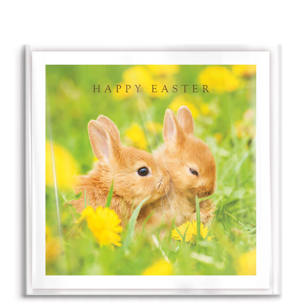 Bunnies in Field Easter Cards