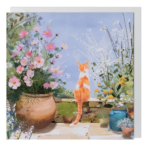Cat Greeting Card