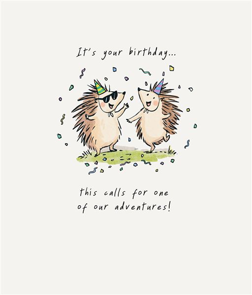 Adventures Hedgehog Birthday Card