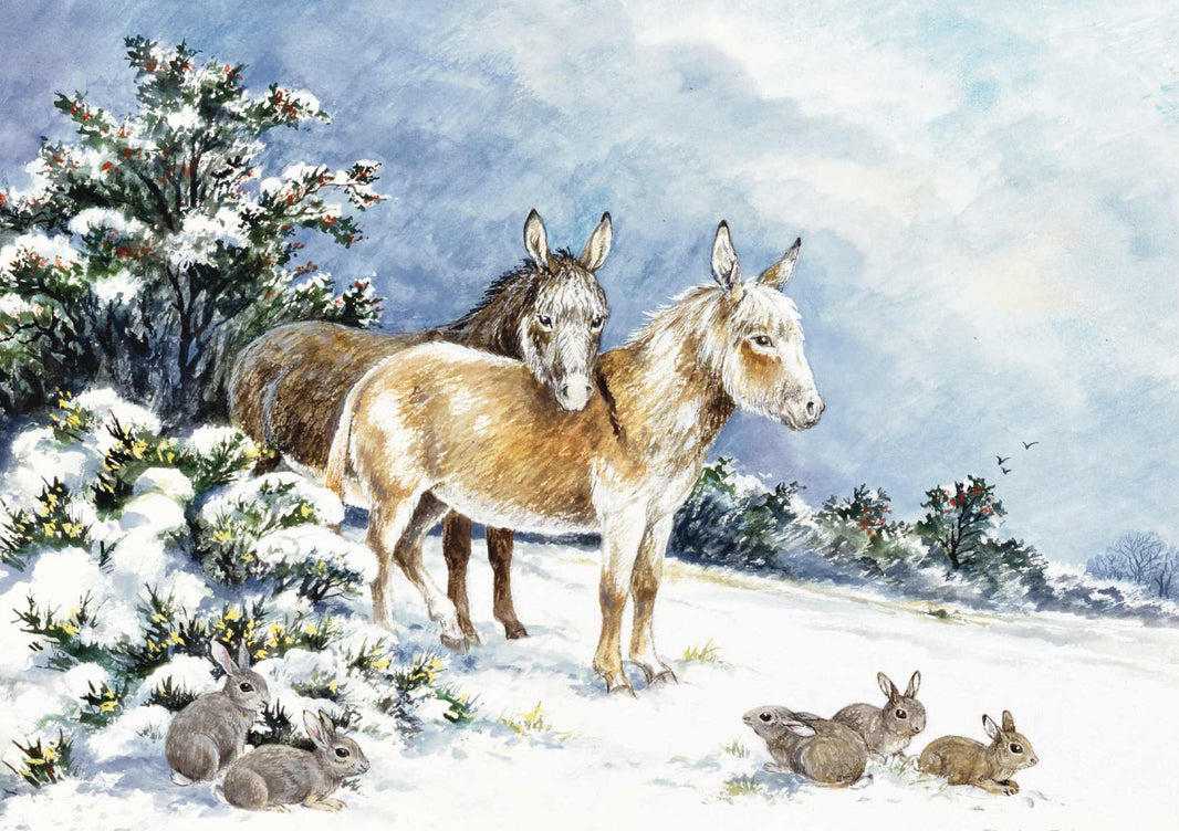 Little Donkeys Christmas Card