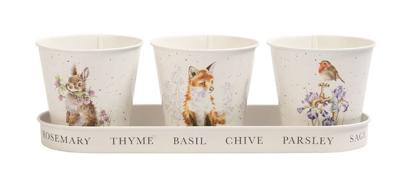 Woodlanders Herb Pots