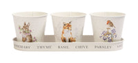 Woodlanders Herb Pots