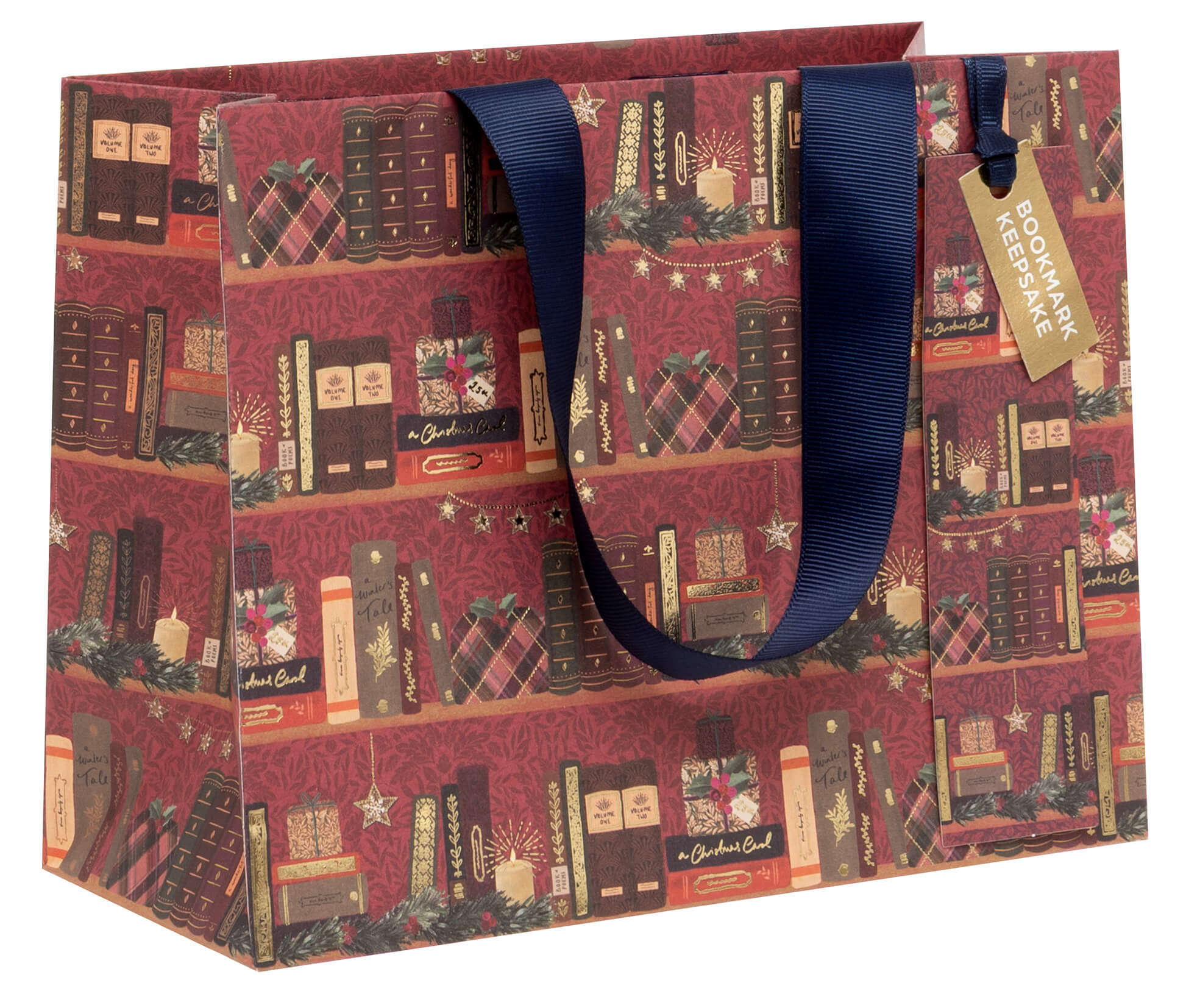Medium Books Christmas Gift Bag
