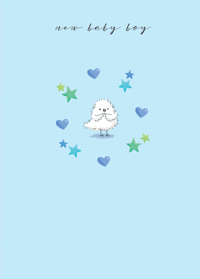 Baby Boy Greeting Card