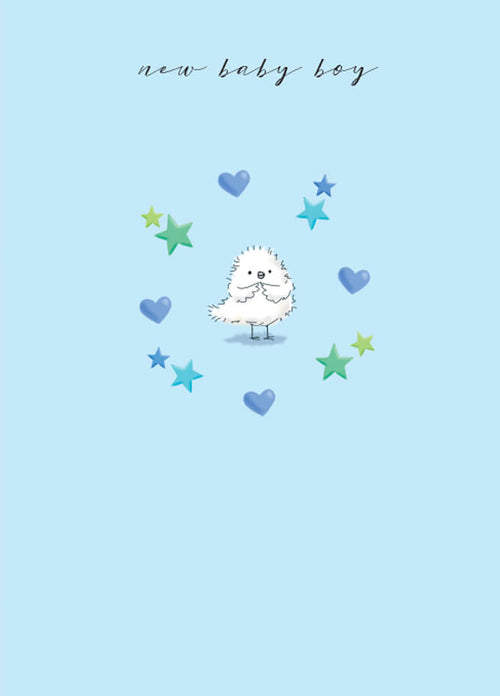 Baby Boy Greeting Card
