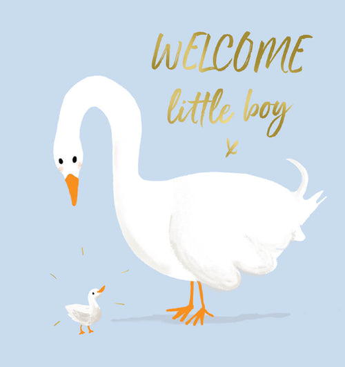 Baby Boy Swan Greeting Card