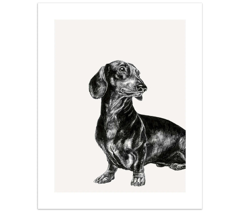 Ink and Shadow Dachshund Birthday Card