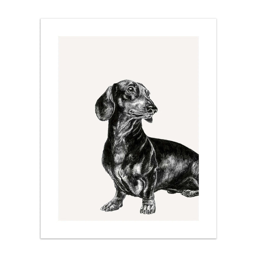 Ink and Shadow Dachshund Birthday Card