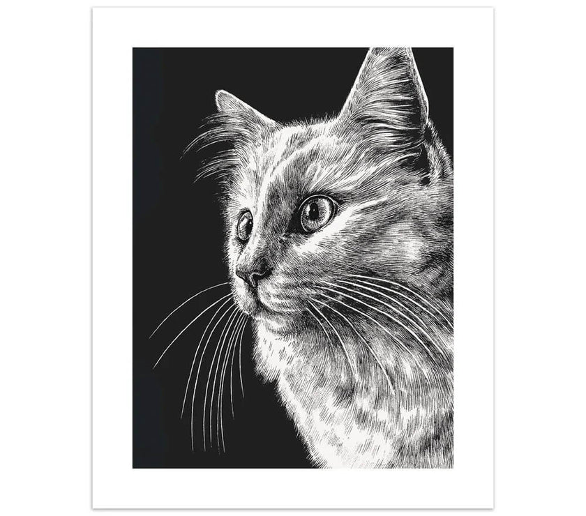 Ink and Shadow Cat Birthday Card