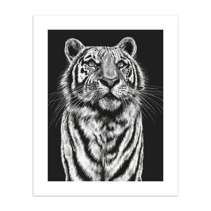 Ink and Shadow Tiger